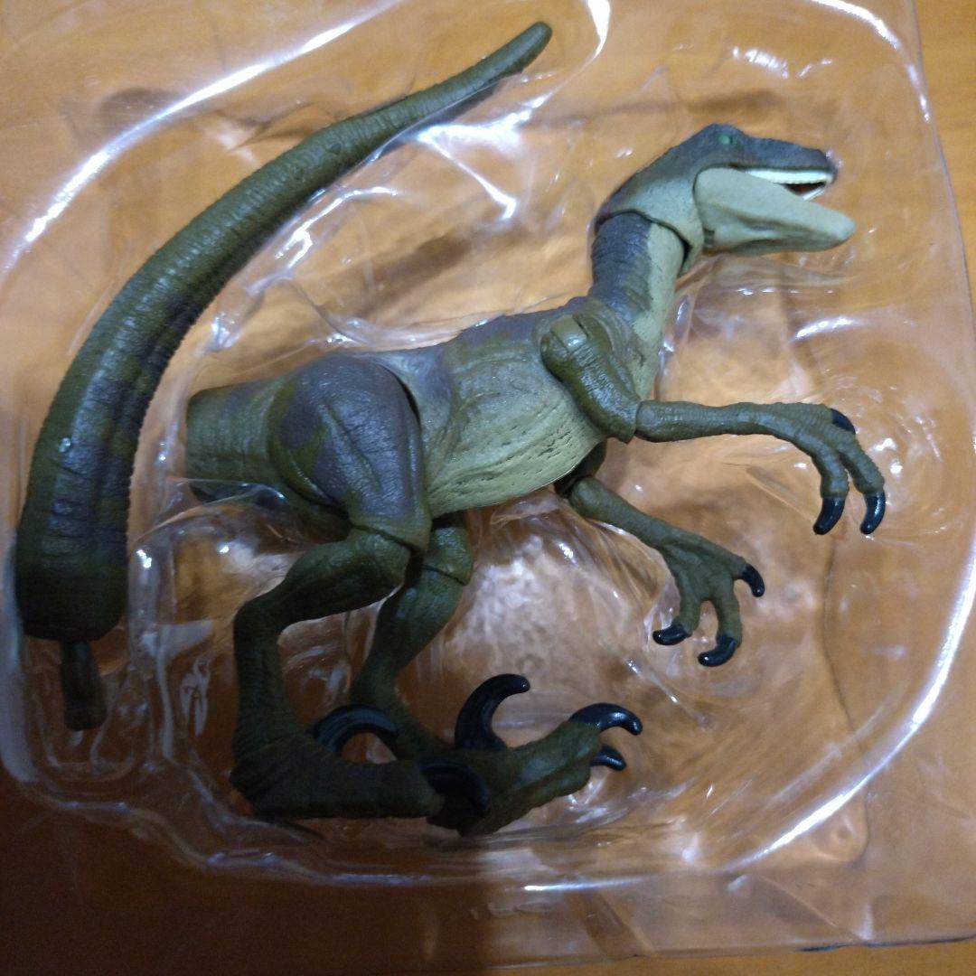Hammond Collection Velociraptor ヴェロキラプトル