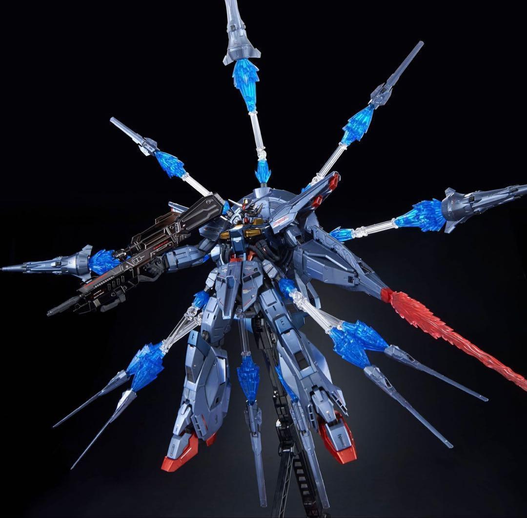 【新品未開封】ＭＧ1/100 プロヴィデンスガンダム [スペシャルコーティング]