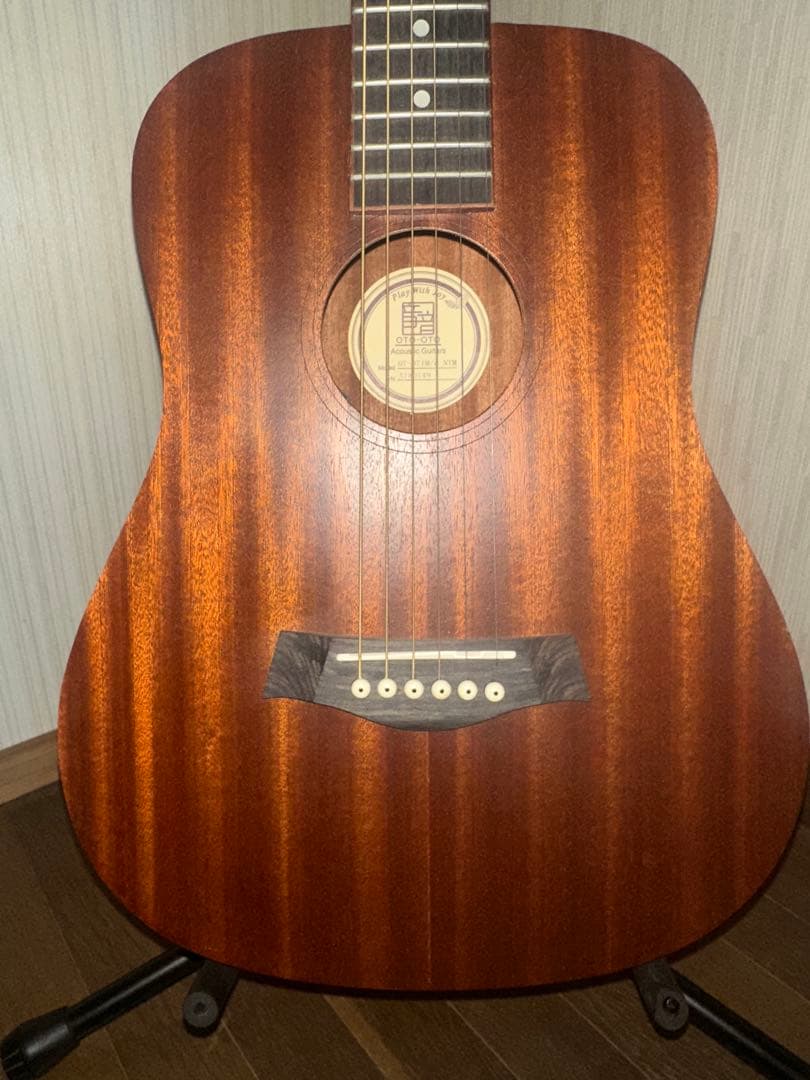 ピックアップ付ミニサイズギター 音音 DT1M/e