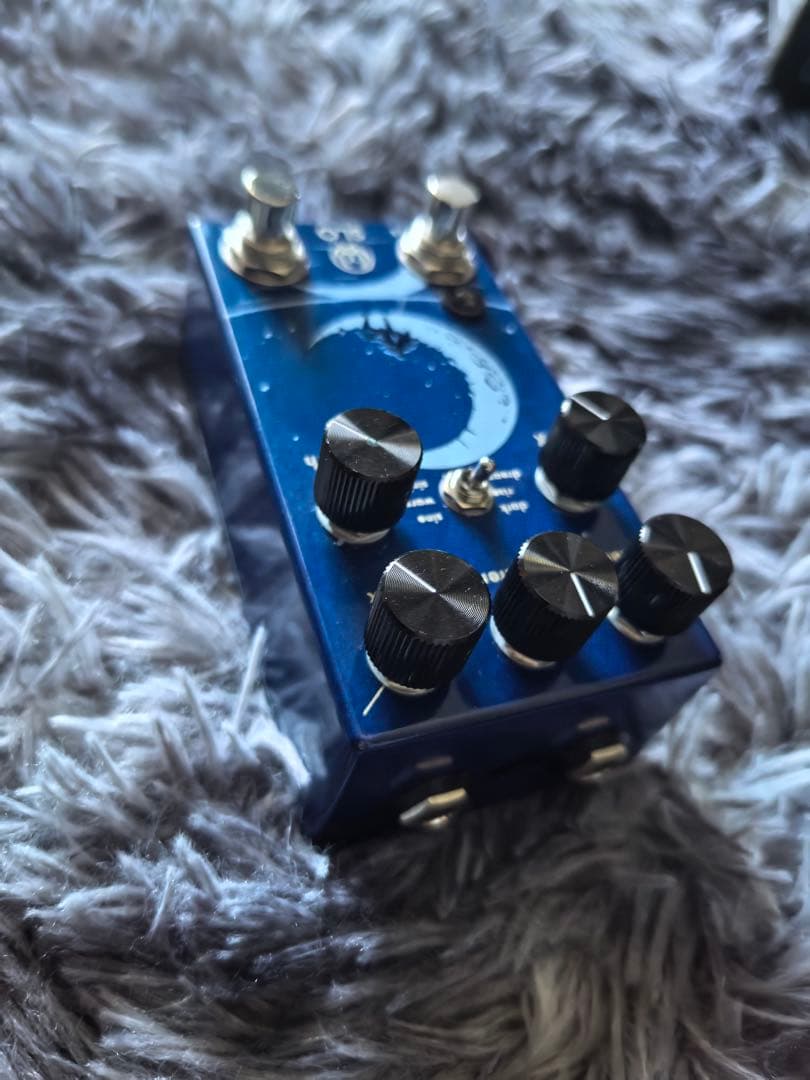 ギター WALRUS SLO