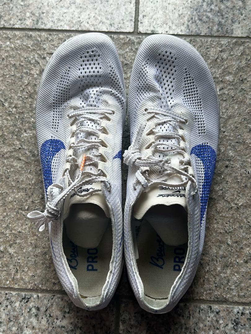 NIKEドラゴンフライ2 27cm