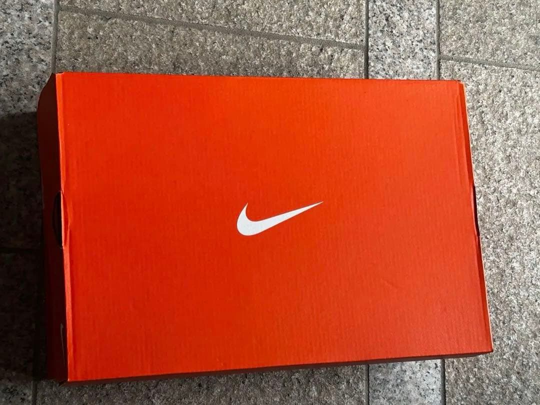 NIKEドラゴンフライ2 27cm