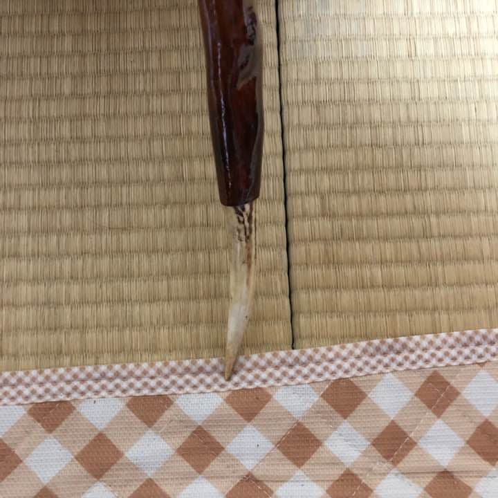 鮎釣りの網