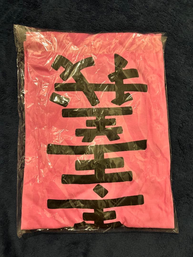 未開封！道重さゆみ「道重主義」Lサイズ