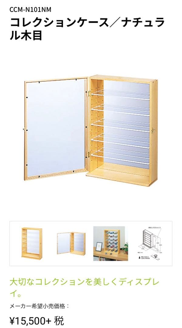 Nakabayashiコレクションケース　送料込