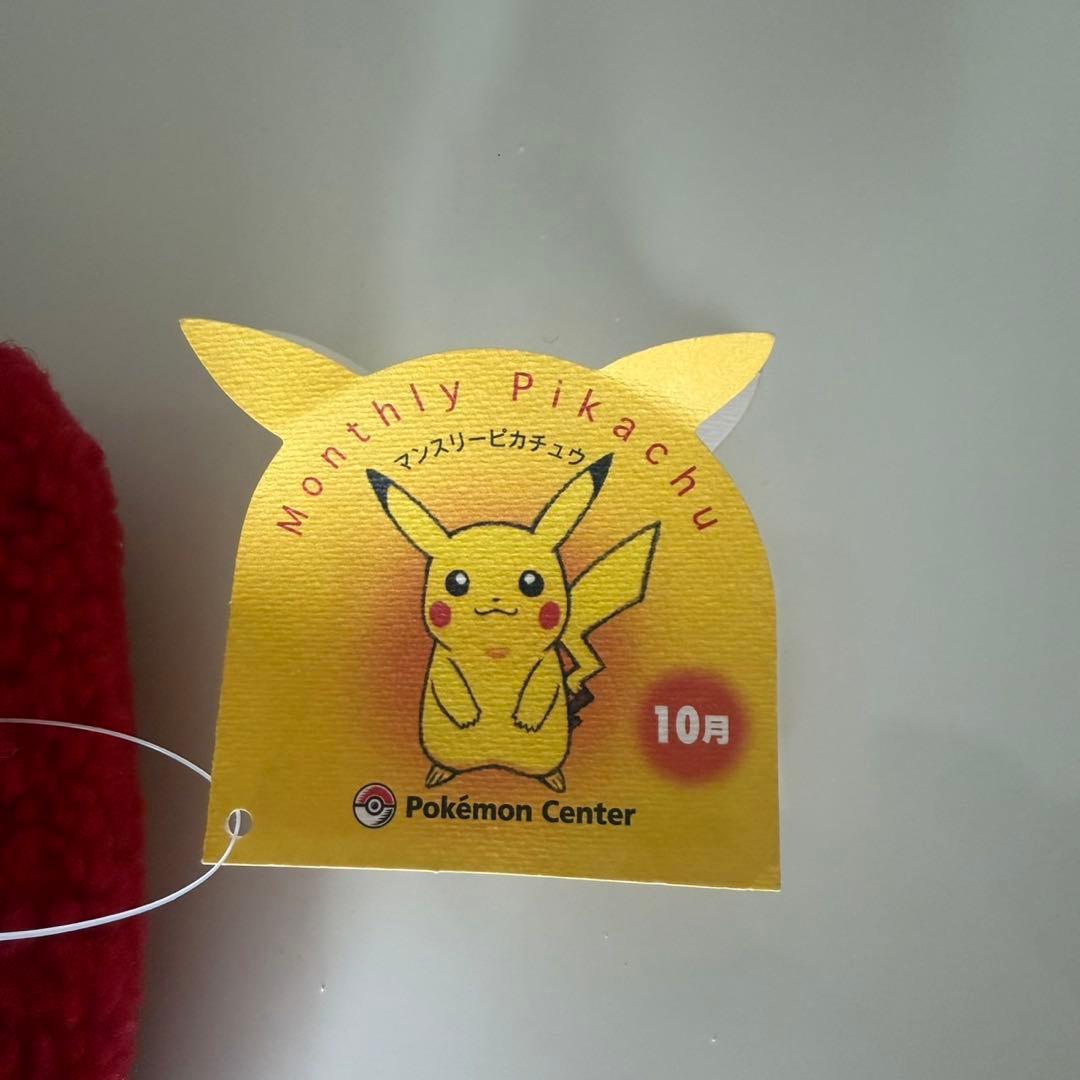 ポケモン　ポケットモンスターマンスリーピカチュウ2003年10月