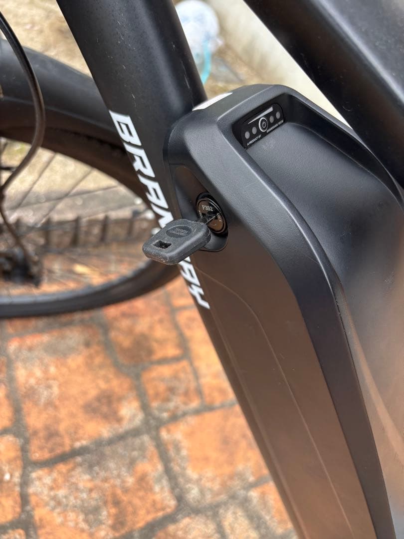 BRAN-JAY 電動アシスト自転車 ブラック