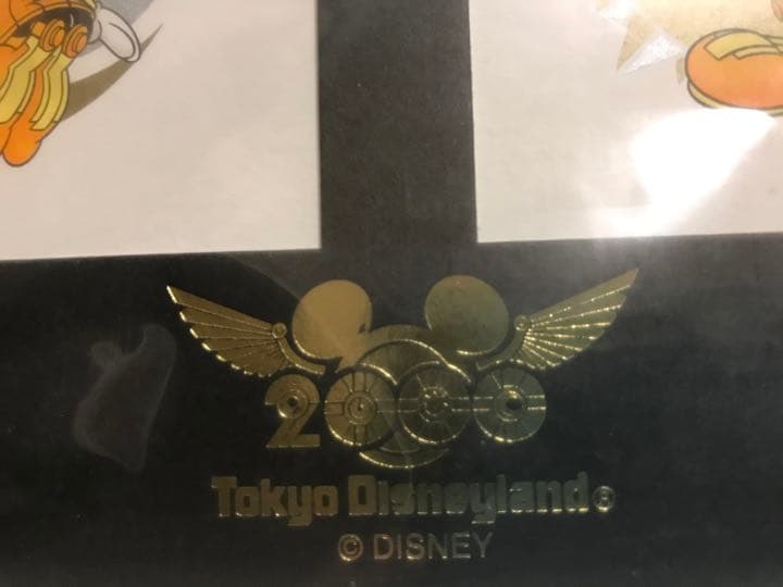東京ディズニーランド　2000年記念(額付き)