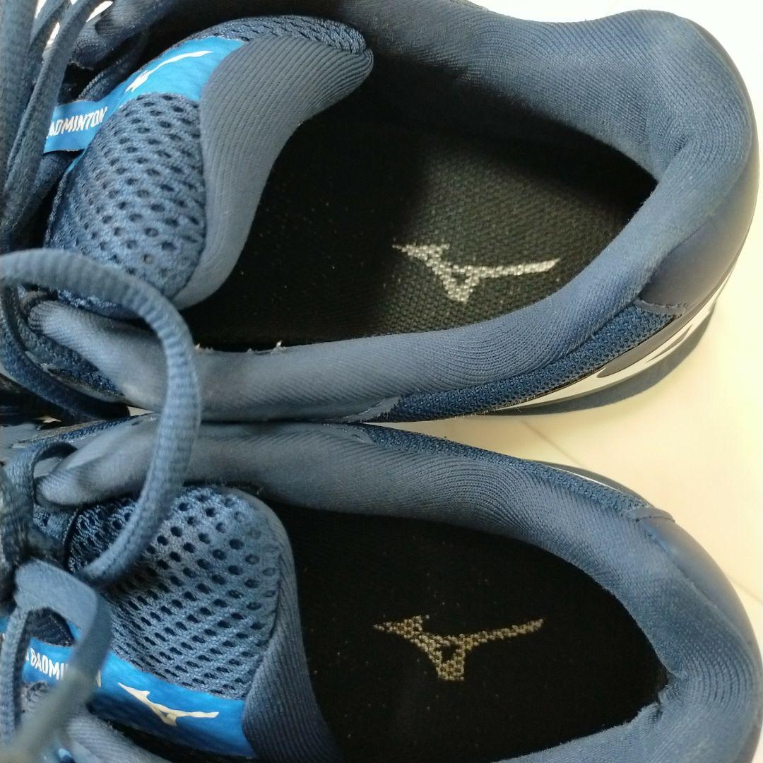 Mizuno ミズノ バドミントンシューズ ウエーブクロー 28cm 4E