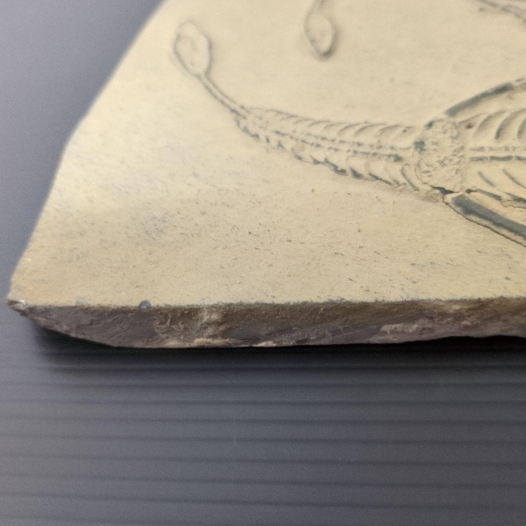 （貴重）ケイチョウサウルス 化石 標本 重量約759g