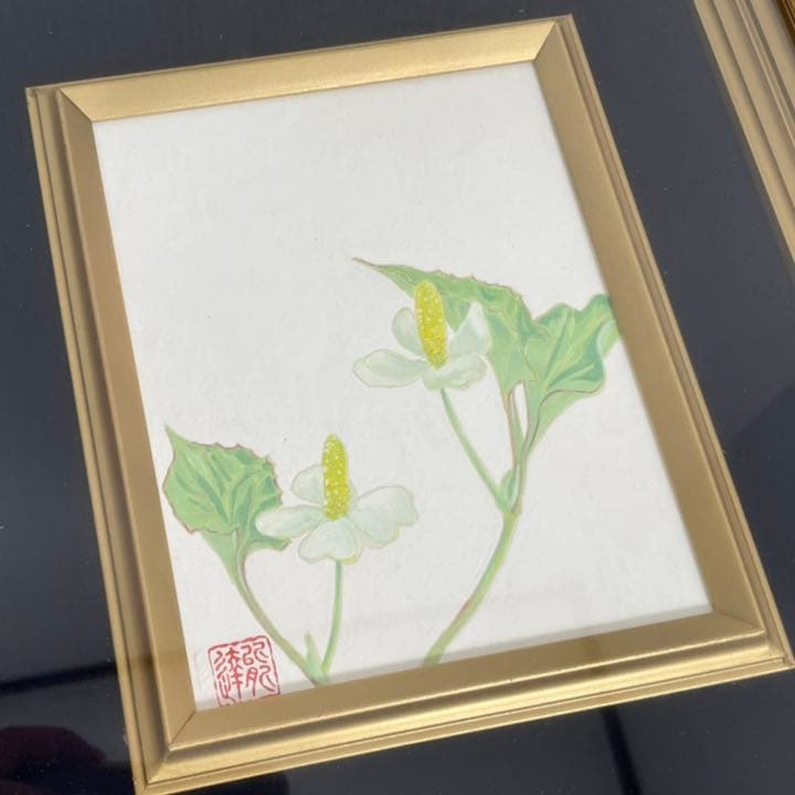 【希少】ドクダミの絵画 花アート