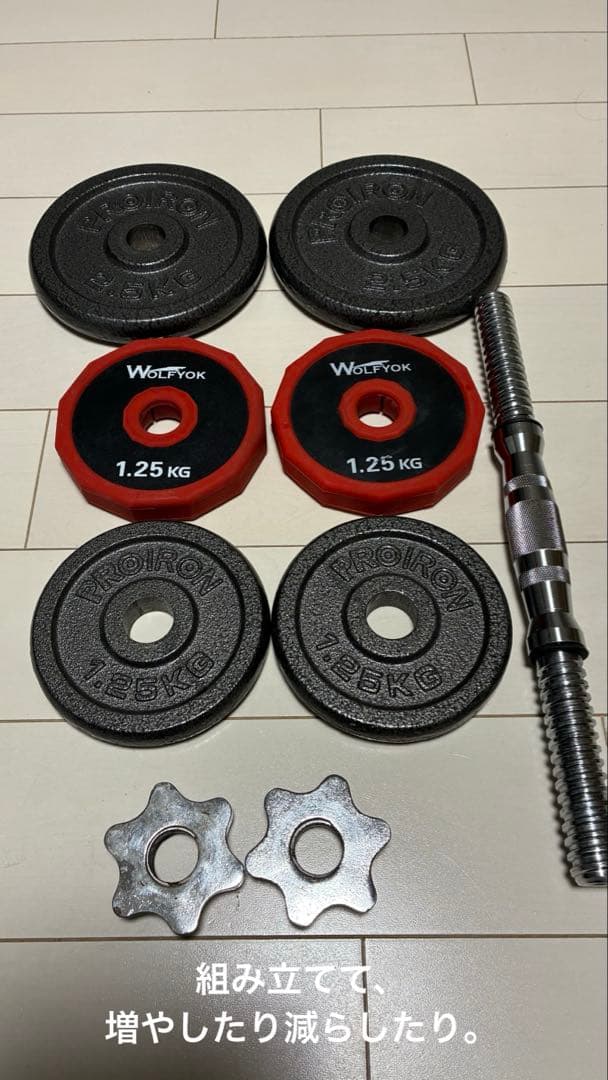 PROIRON社製・wolfyokダンベル 10kg 2個セット送料込