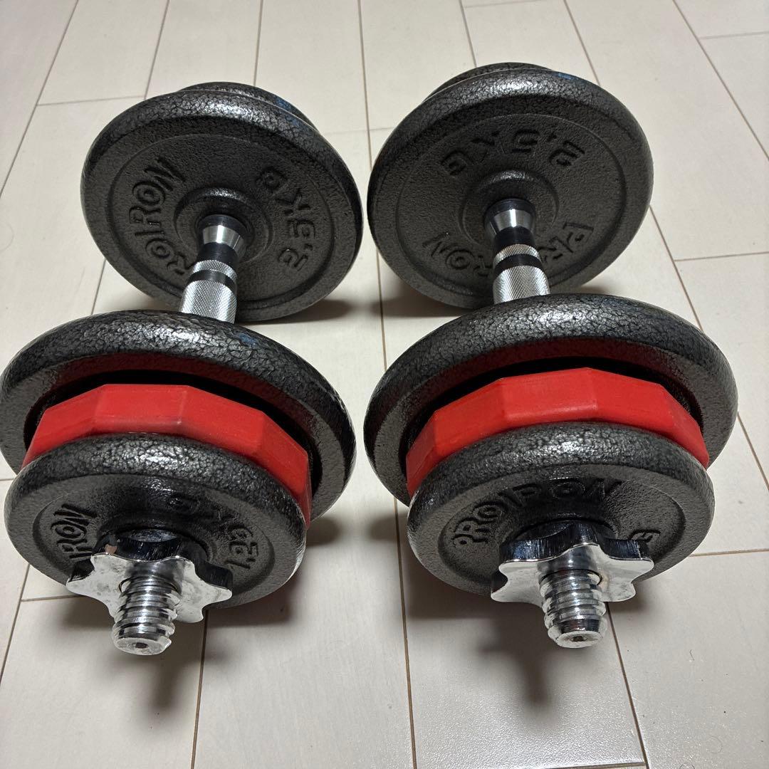 PROIRON社製・wolfyokダンベル 10kg 2個セット送料込