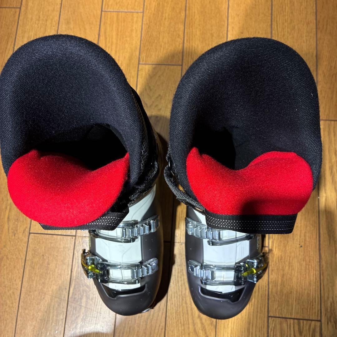 【値下げ】dalbelloダルベロAERRO 25.0-25.5cm 初中級向け