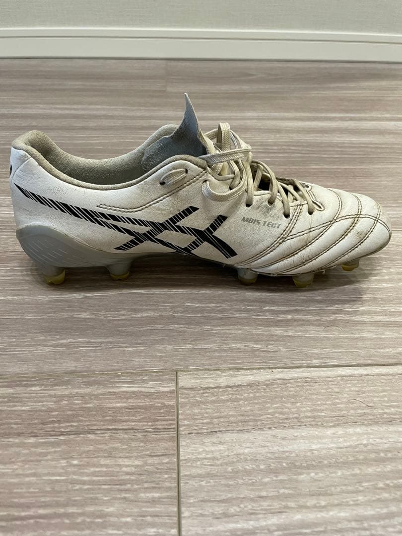 シューズ DS LIGHT X-FLY5