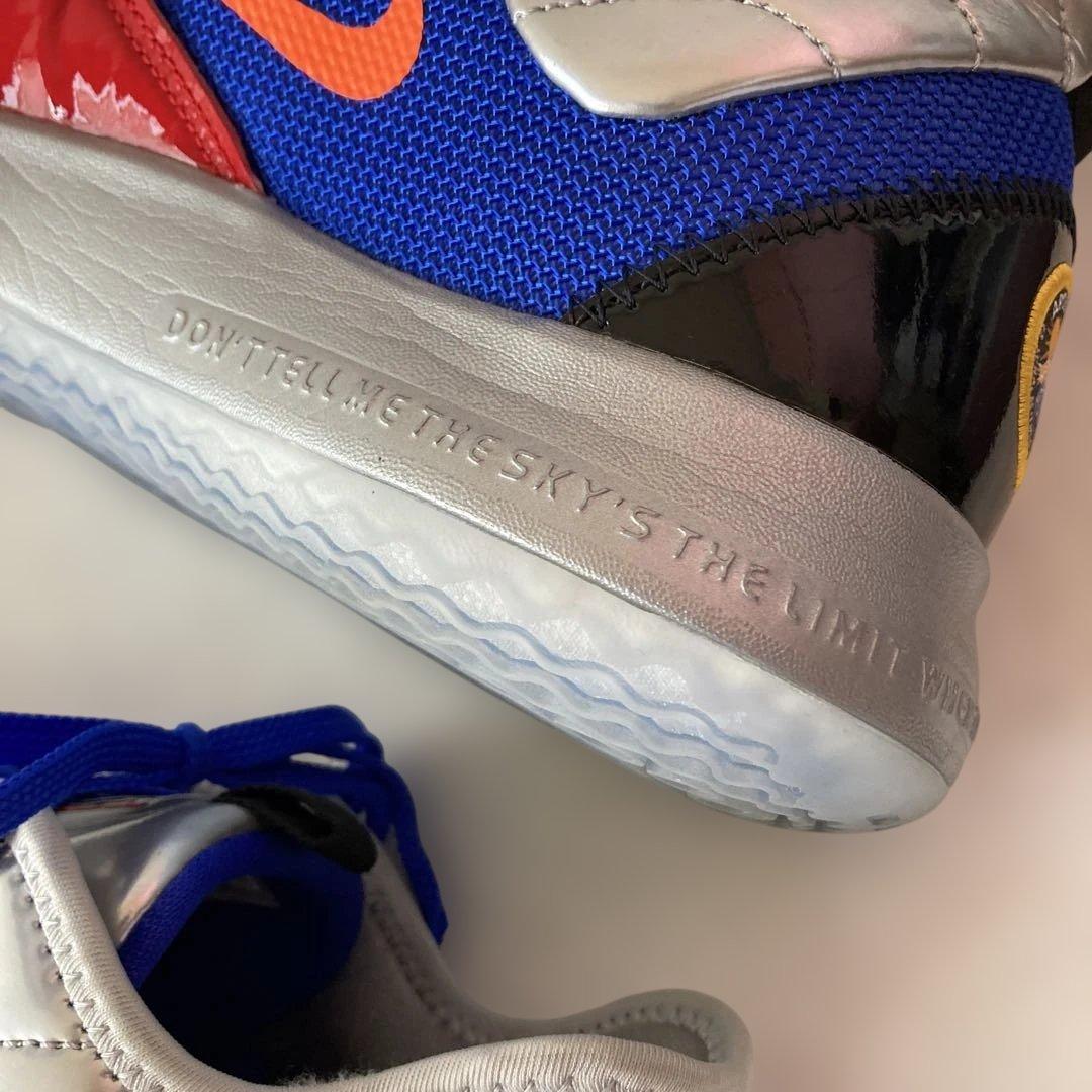 Nike ナイキ メンズ スニーカー【CI2666-400】青/オレンジ31cm