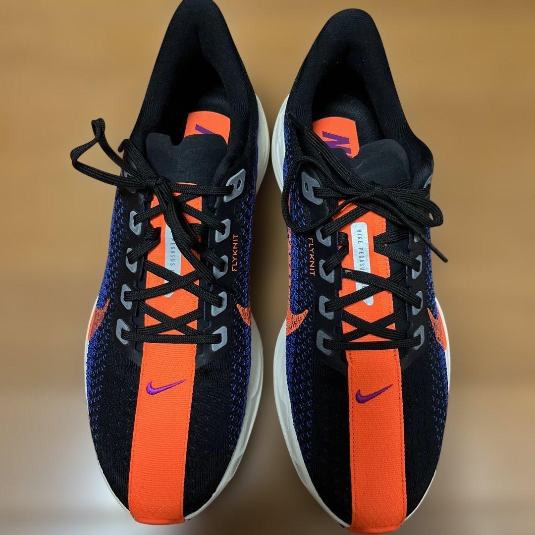 Nike ペガサスプラス　27.0cm ⭐︎箱無し