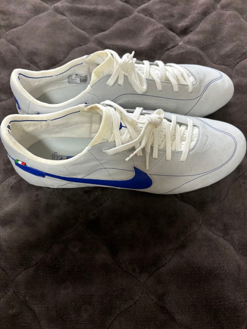 NIKEティエンポ