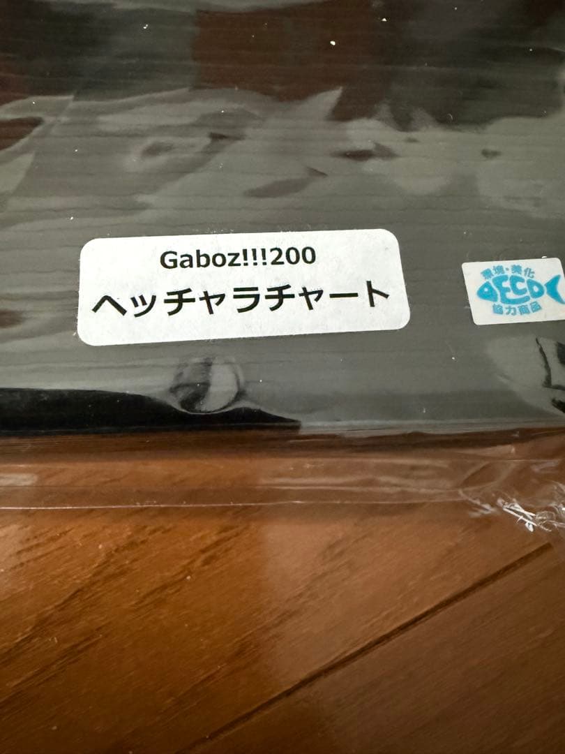 希少BlueBlue 2024釣りフェス限定　ガボッツ200
