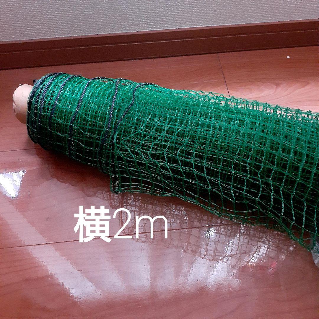 マルチネット