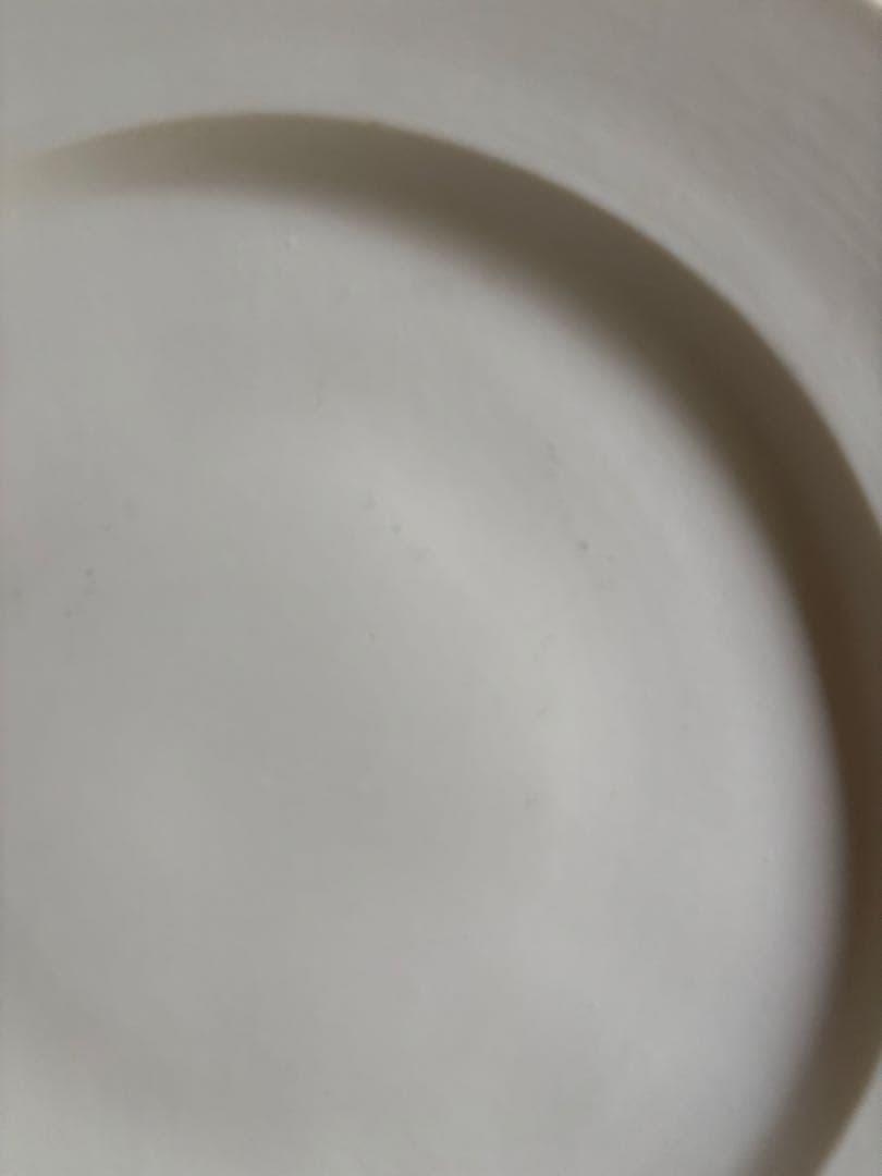 青木良太　アンネン皿　8寸