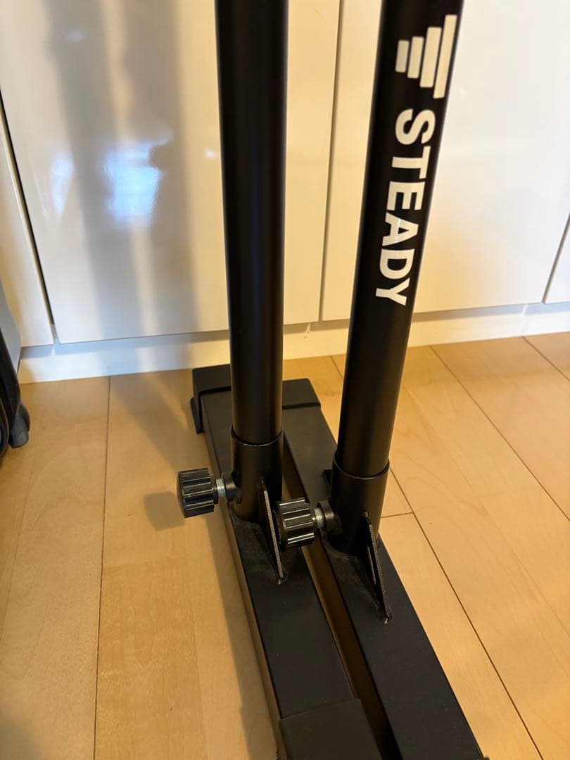 【美品】STEADY ディップスバー