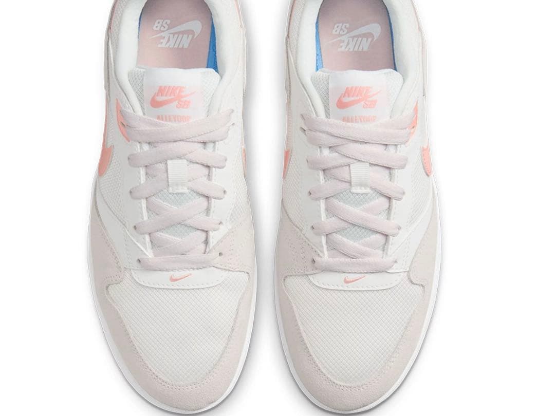 NIKE シューズ スケートボード Womens スニーカー