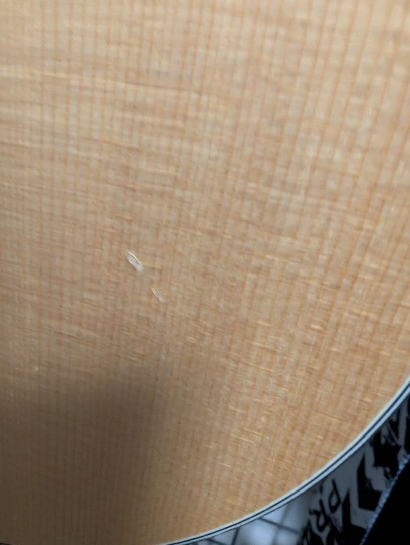 ギター Morris M-021 NAT