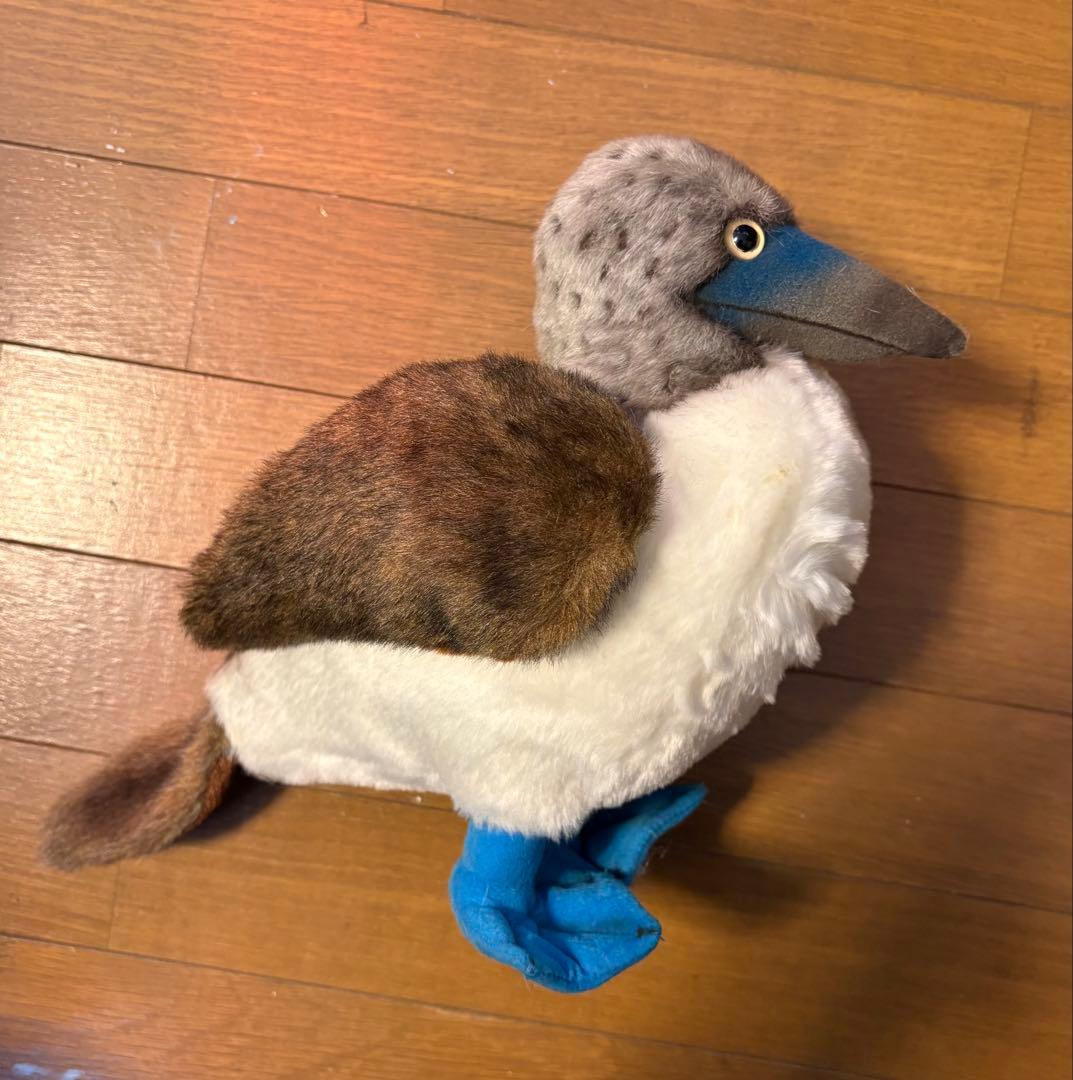 Steiff　アオアシカツオドリ