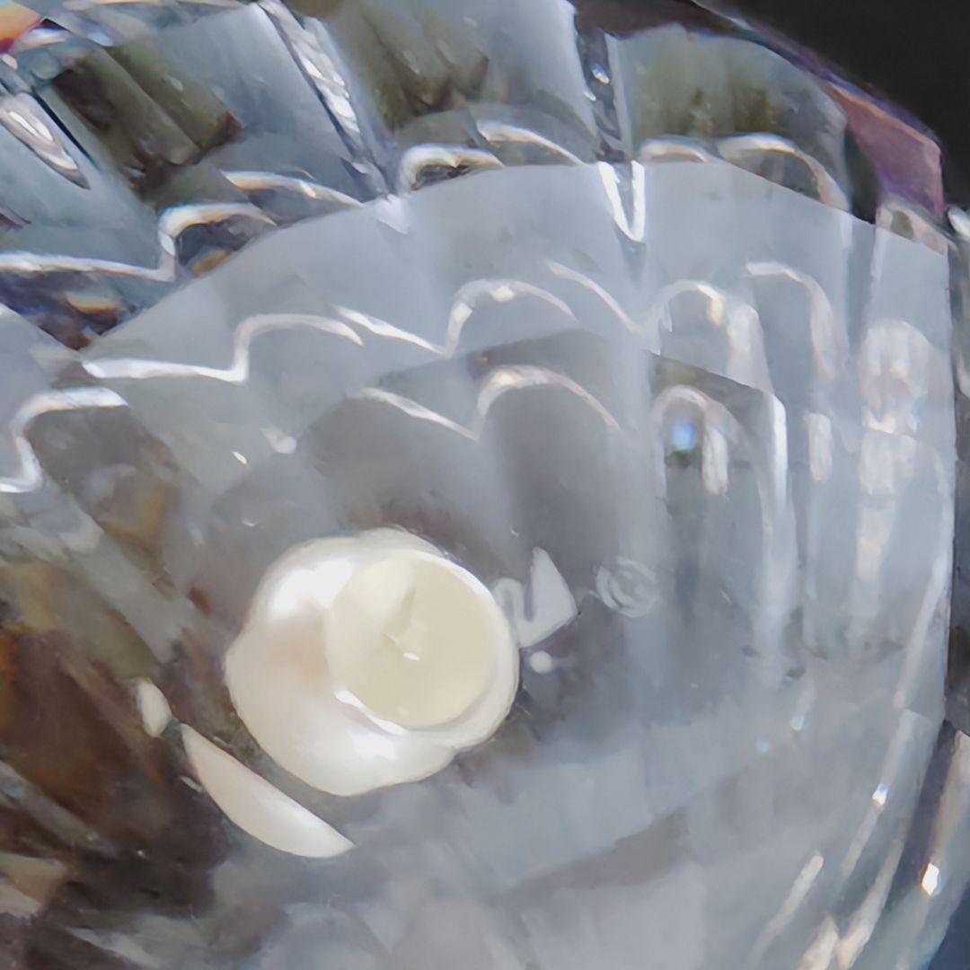 スワロフスキー　「貝と真珠」（Shell With Pearl）