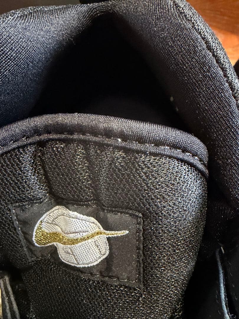 Nike ナイキ　エアボヘミアンライト　バレーボールシューズ　95年製　29cm