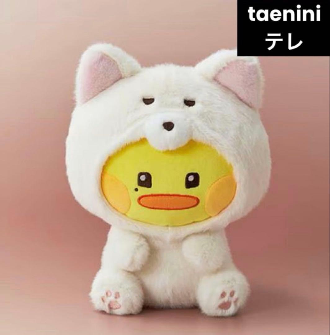 ZB1 ゼベワン テレ テニニ zeroni ミディアムぬいぐるみ