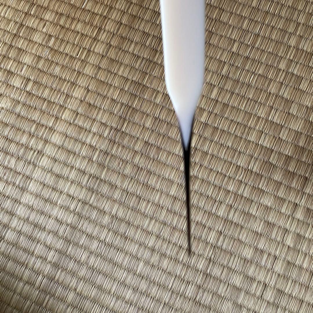 鼈甲三味線バチ 専用ケース付き