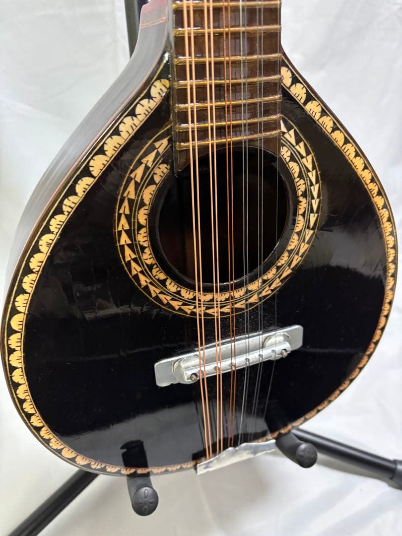 弦楽器 Oscar Schmidt Stella 12-string (1920s)