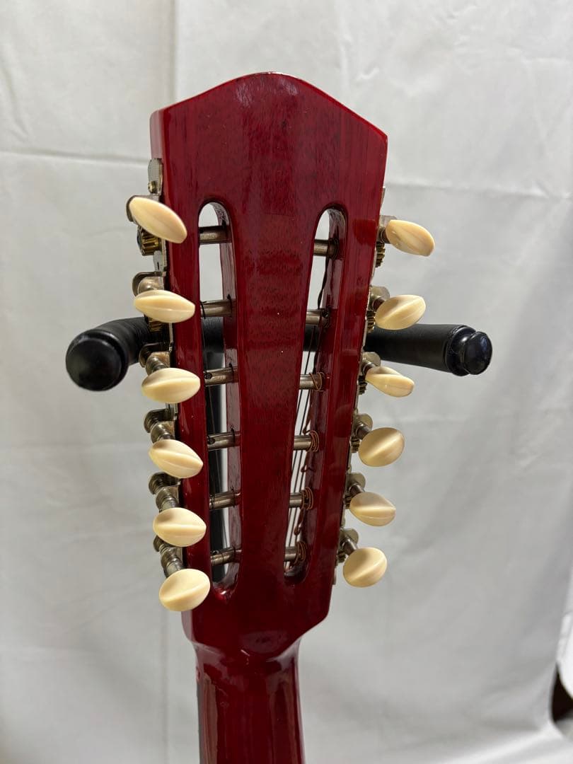 弦楽器 Oscar Schmidt Stella 12-string (1920s)