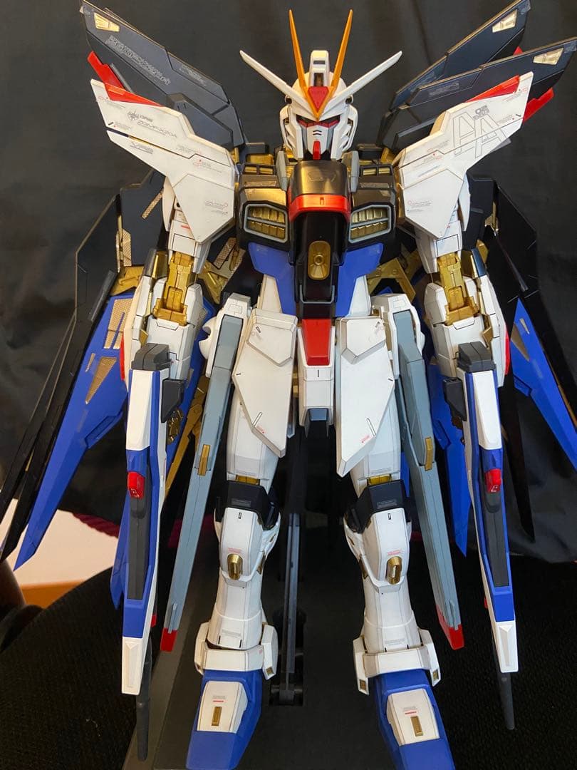 ガンプラ 完成品 PGストライクフリーダム