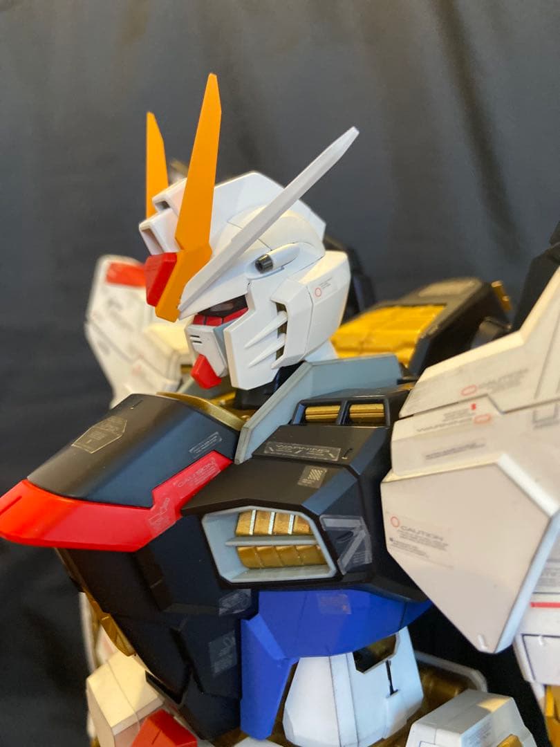 ガンプラ 完成品 PGストライクフリーダム