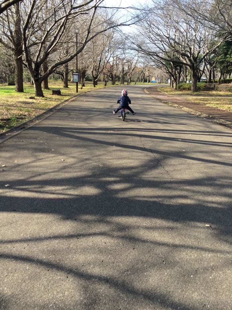 ストライダーからすぐ乗れる子供用自転車 チャベス　人気レア