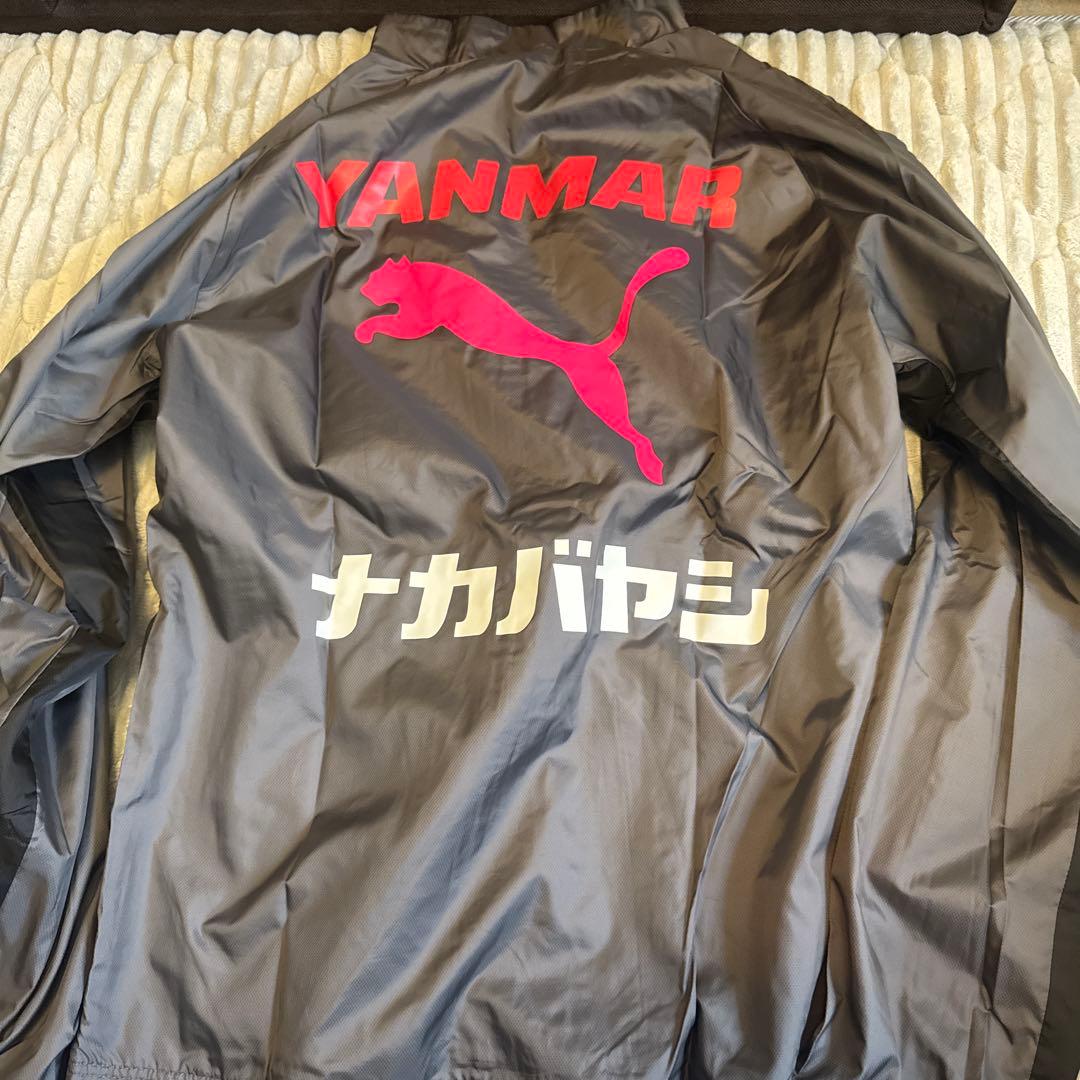セレッソ大阪ウィンドブレーカー Lサイズ
