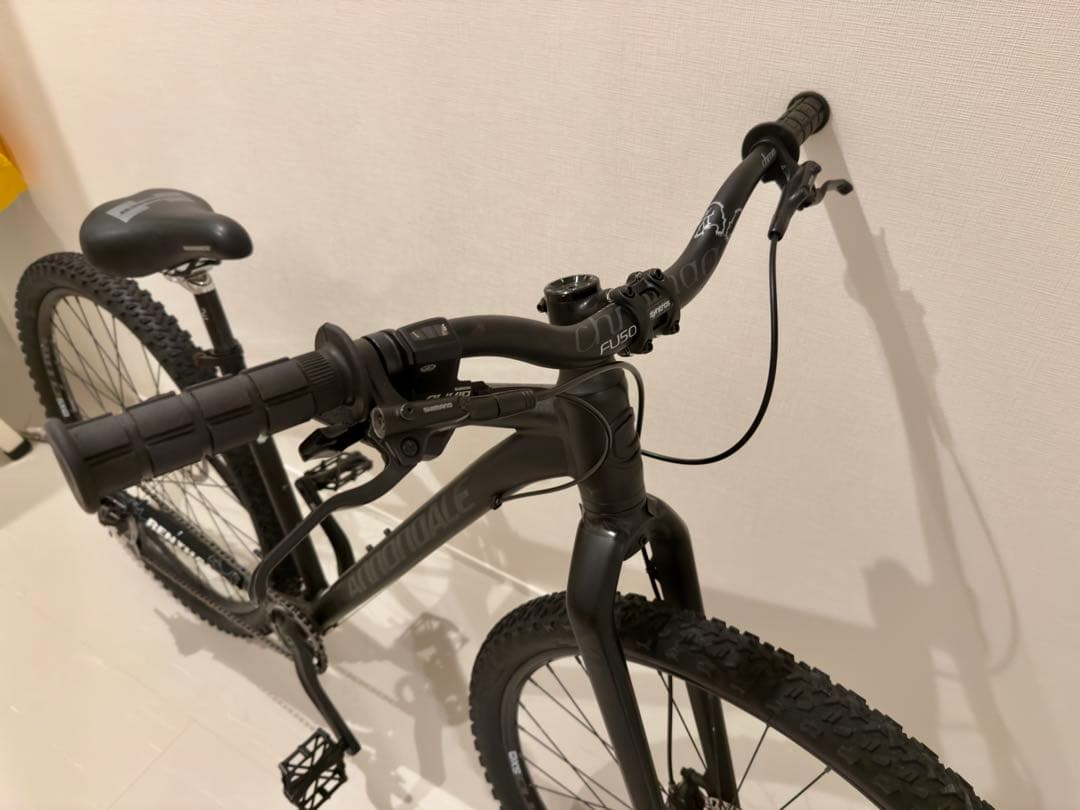 cannondale badboy 29er Mサイズ キャノンデール