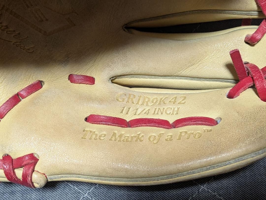 Rawlings THE GOLD GLOVE 右利き用