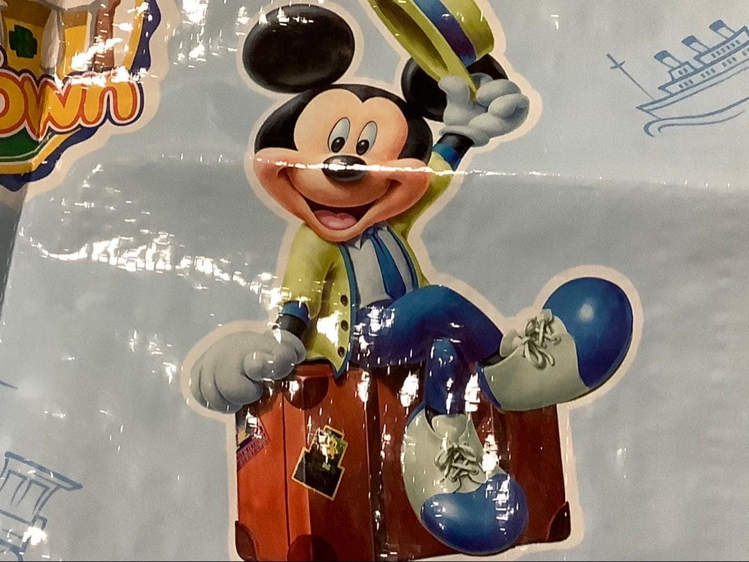 【確認画像】ディズニー　バケパクッション&レジャーシートセット