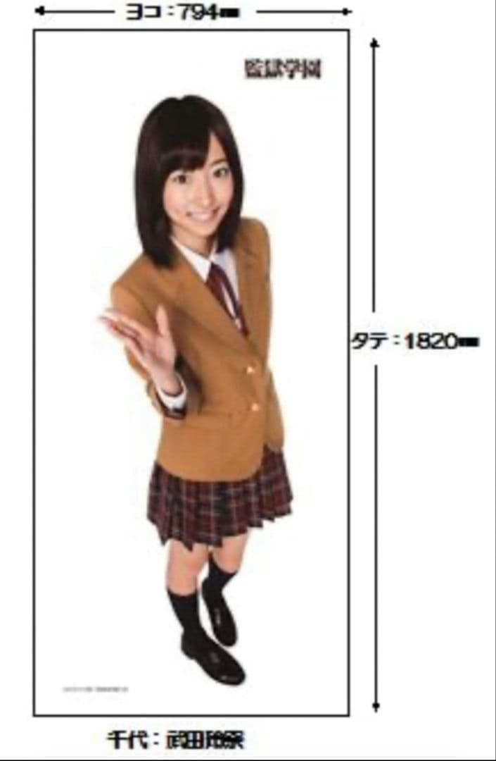 武田玲奈　等身大布ポスター　監獄学園　プリズンスクール