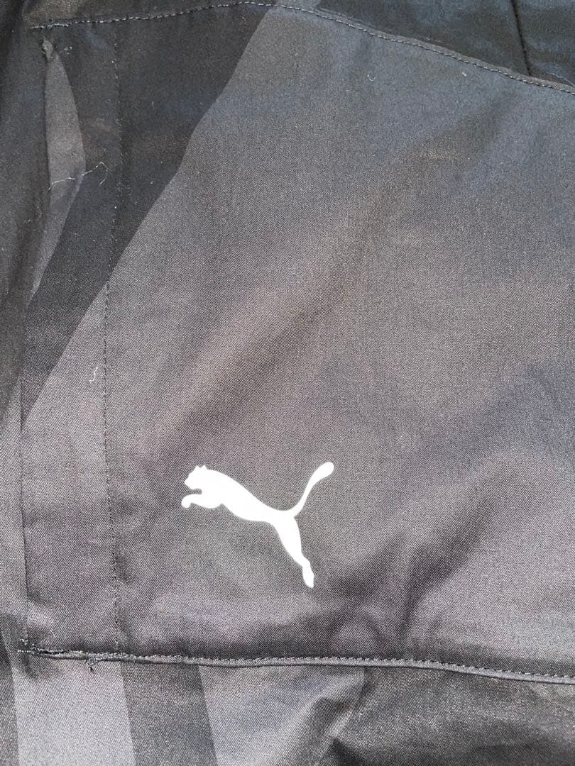  Motorsport Puma ジャケット LL(180／100Ａ)