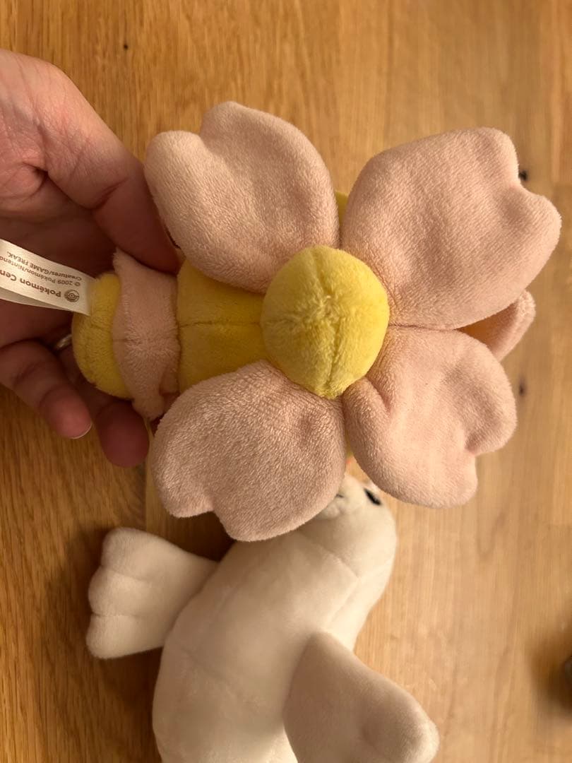 ポケモン　ぬいぐるみセット②
