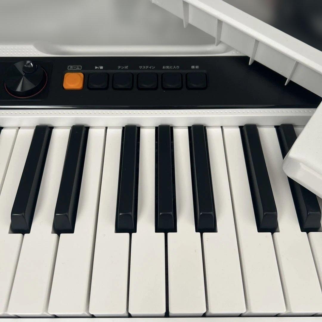カシオ 電子キーボード 電子ピアノ