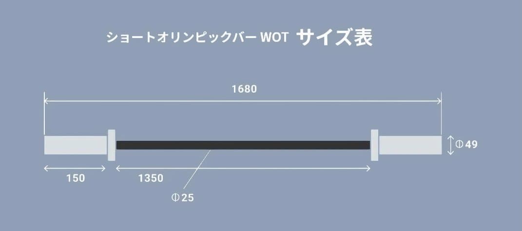 【美品】アイロテックPRO / ショートオリンピックバー 10kg