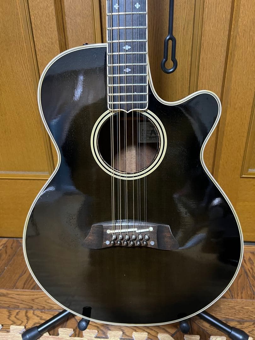 Takamine　NPT110-12　12弦Guitar ハードケース付き