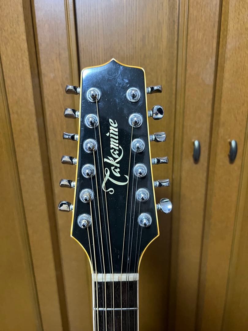 Takamine　NPT110-12　12弦Guitar ハードケース付き