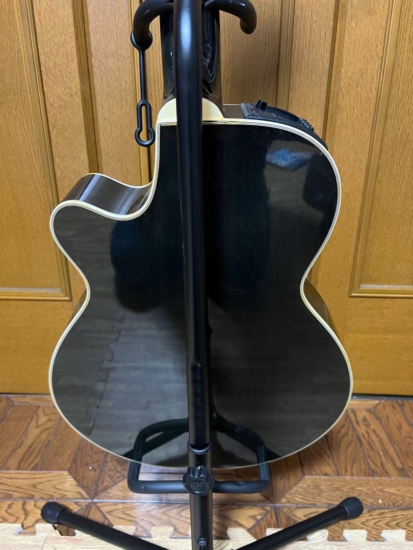 Takamine　NPT110-12　12弦Guitar ハードケース付き